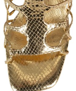 Dustdev.shop037d69ac43 5