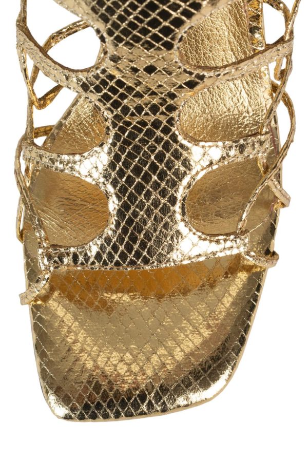 Dustdev.shop037d69ac43 5