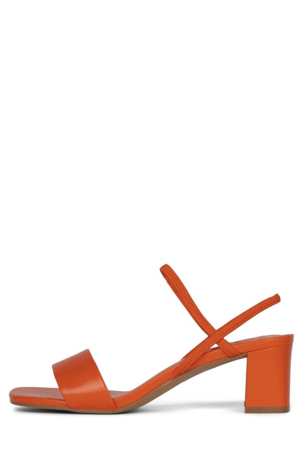 Dustdev.shop112d62dbb3 5