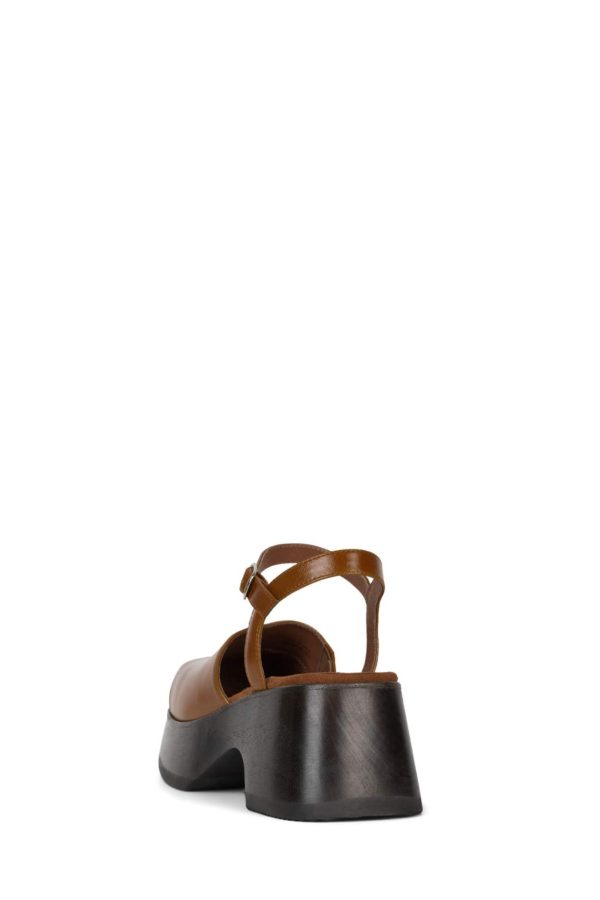 Dustdev.shop62fbdd100b 3