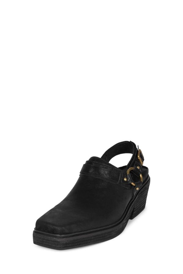 Dustdev.shop97b98ec486 2