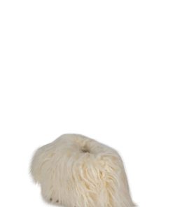 Dustdev.shopa382c006d5 3