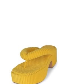 Dustdev.shope7d0bca02e 2