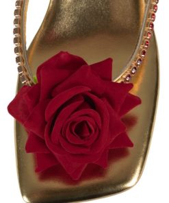 Dustdev.shoped40c0a9eb 2